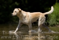 43 Wasseraction